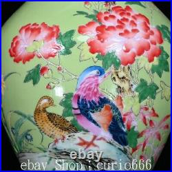 10.2'' Qing Yongzheng Famille Rose Porcelain Bird Birds Flower Bottle Vase