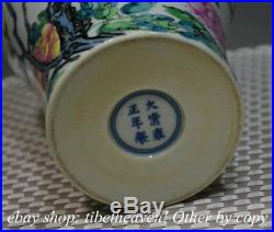 10.4 Marked China Pastel Porcelain Hand Drawing Palace Flower Bird Bottle Vase