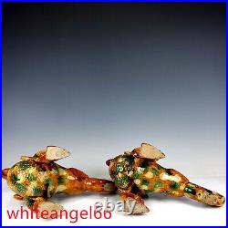 11.2 Chinese old Tang dynasty Porcelain A pair Tangsancai Ice crack bird Statue