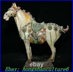 11 Old China Dynasty Tang SanCai Porcelain 12 Zodiac Horse Horses Animal Statue