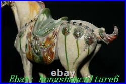 11 Old China Dynasty Tang SanCai Porcelain 12 Zodiac Horse Horses Animal Statue