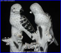 11 Unique China Color Porcelain Auspicious Tree Magpie Bird Animal Statue Pair