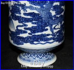 11 White Blue Porcelain Dragon Loong Phoenix Fenghuang Bird Vase Bottle Jar Pot