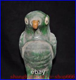 11old China tangsanca Pottery porcelain wealth sacrifice parrot Bird statue