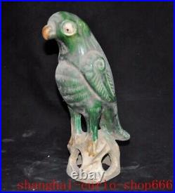 11old China tangsanca Pottery porcelain wealth sacrifice parrot Bird statue