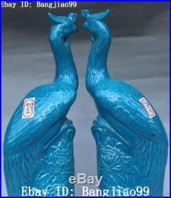 12 China Color Porcelain Feng Shui Peony Peacock Peahen Bird Animal Statue Pair