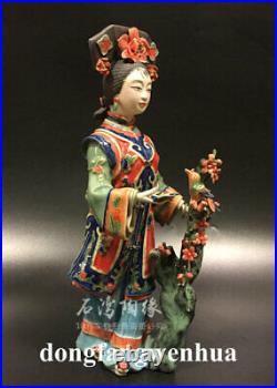 12 China Wucai Porcelain Pottery classical beauty Belle Lady Women Flower Plum