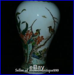 12 Qing Dynasty China Famille Rose Porcelain Dynasty Flower Bird Bottle Vase X4