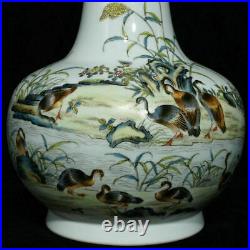 13.4Qianlong Marked China Qing Famille Rose Porcelain swallow Birds Bottle Vase