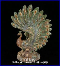 13 Ancient Old China Tang Sancai Porcelain Dynasty peacock peafowl Bird Statue