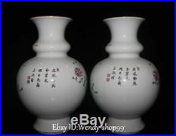 13 China Enamel Color Porcelain Peacock Bird Peony Flower Pot Vase Bottle Pair