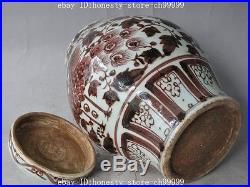 13china old porcelain phoenix bird beast statue Tanks Crock Bottle Pot Vase jar