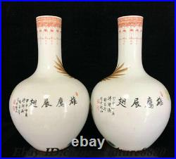14.5 Old China Famille Rose Porcelain Animla Eagle Bird Bottle Pot Vase Pair