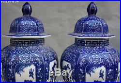 14 Chinese White Blue Porcelain Flower Bird Pot Jar Jug Crock Tank Pair Statue