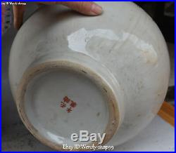 14 Color Porcelain Magpie Bird Shouxing God Tongzi Flower Pot Vase Bottle Pair