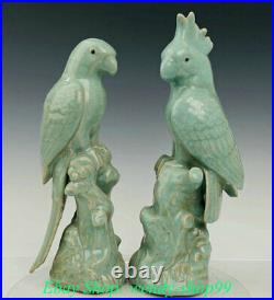 14 Old China Ru Kiln Porcelain Dynasty Palace poll parrot popinjay Birds Statue
