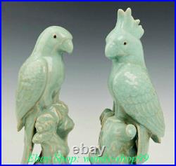 14 Old China Ru Kiln Porcelain Dynasty Palace poll parrot popinjay Birds Statue