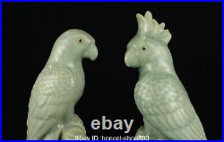 14 Old Chinese Ru Kiln Porcelain Song Dynasty Animal Bird Parrot Statue Pair