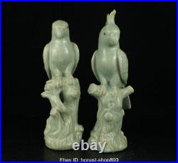 14 Old Chinese Ru Kiln Porcelain Song Dynasty Animal Bird Parrot Statue Pair