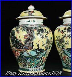 15.7 Kangxi Marked Old Wucai porcelain peacock Bird Flower Pot Jar Crock Pair