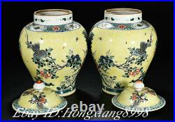 15.7 Kangxi Marked Old Wucai porcelain peacock Bird Flower Pot Jar Crock Pair