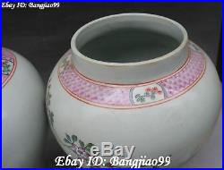 15 China Color Porcelain Phoenix Bird Peony Flower Pot Bottle Jar Canister Pair