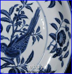 16.6 Antique Old Chinese Blue White Porcelain Dynasty Flower Birds Plate Tray