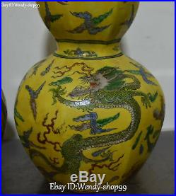 16 Color Porcelain Dragon Loong Phoenix Bird Gourd Vase Bottle Flask Pot Pair