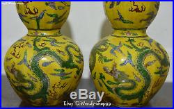 16 Color Porcelain Dragon Loong Phoenix Bird Gourd Vase Bottle Flask Pot Pair