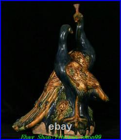 18 China Dynasty Tang Sancai Porcelain Peacock Bird Birds Animal Statue