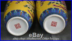 18 Qianlong Marked China Wucai Porcelain Dynasty Flower Bird Bottle Vase Pair