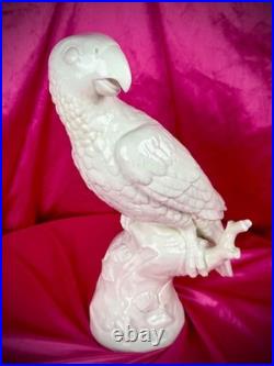 18th C Nymphenburg Porcelain Parrot 14 D Auliczek Model 180 c1770 MuseumQuality