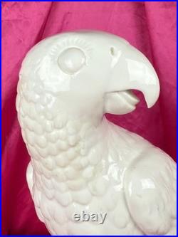 18th C Nymphenburg Porcelain Parrot 14 D Auliczek Model 180 c1770 MuseumQuality