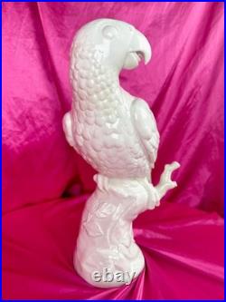 18th C Nymphenburg Porcelain Parrot 14 D Auliczek Model 180 c1770 MuseumQuality