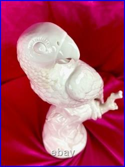 18th C Nymphenburg Porcelain Parrot 14 D Auliczek Model 180 c1770 MuseumQuality