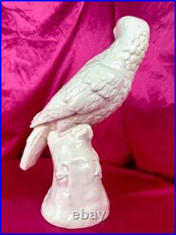 18th C Nymphenburg Porcelain Parrot 14 D Auliczek Model 180 c1770 MuseumQuality