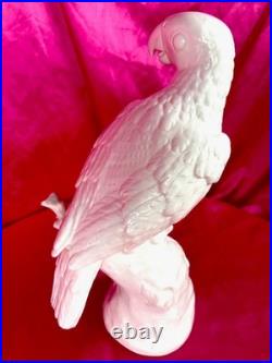 18th C Nymphenburg Porcelain Parrot 14 D Auliczek Model 180 c1770 MuseumQuality