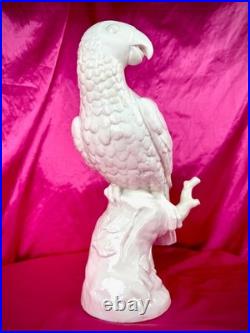 18th C Nymphenburg Porcelain Parrot 14 D Auliczek Model 180 c1770 MuseumQuality