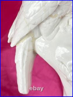 18th C Nymphenburg Porcelain Parrot 14 D Auliczek Model 180 c1770 MuseumQuality