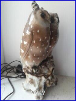 1920 ERNST BOHNE SONS Antique Porcelain Statue Figure Owls Lamp Rudolstadt 29 cm