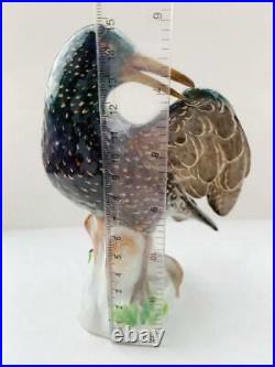 1924 Meissen Antique Statue Figure Porcelain Bird Starling Germany Stamp