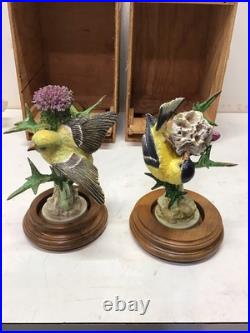 1936 Pair Of Dorothy Doughty Goldfinch&Thistle Porcelain Figures WithStands/ Boxes