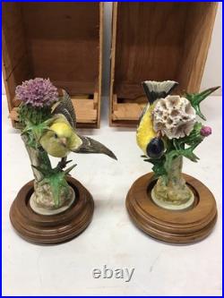 1936 Pair Of Dorothy Doughty Goldfinch&Thistle Porcelain Figures WithStands/ Boxes