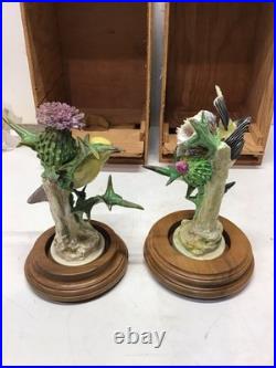 1936 Pair Of Dorothy Doughty Goldfinch&Thistle Porcelain Figures WithStands/ Boxes
