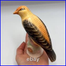 1950 Vintage Collectible Bird Oriole Porcelain Statue Figure Marked Germany 13cm