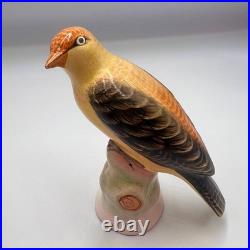 1950 Vintage Collectible Bird Oriole Porcelain Statue Figure Marked Germany 13cm