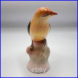 1950 Vintage Collectible Bird Oriole Porcelain Statue Figure Marked Germany 13cm