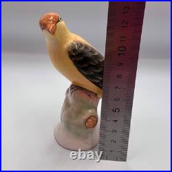 1950 Vintage Collectible Bird Oriole Porcelain Statue Figure Marked Germany 13cm