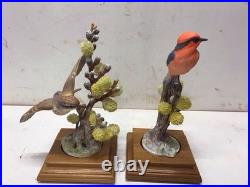 1963 Pair of Royal Worcester Dorothy Doughty Birds, Vermilion Flycatcher, Stands