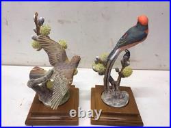1963 Pair of Royal Worcester Dorothy Doughty Birds, Vermilion Flycatcher, Stands